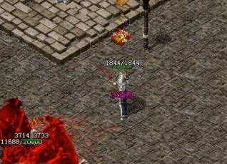 ��ְҵ�洫���������ʲô��������