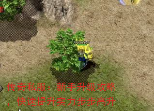 ����˽���������������ԣ���������ʵ����������