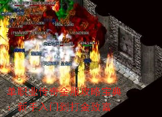 单职业传奇金服攻略宝典:新手入门到打金致富 单职业传奇金服攻略宝典:新手入门到打金致富
