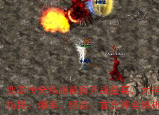 ��̬����˽�����¿���ʢ�磬������ָ·�����ʡ����顢�׳��ȫ����