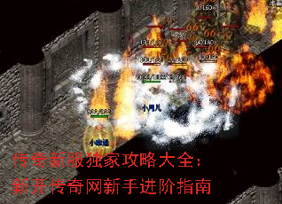 �����·����ҹ��Դ�ȫ���¿����������ֽ���ָ��