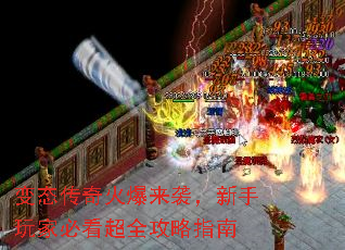 ��̬�������Ϯ��������ұؿ���ȫ����ָ��