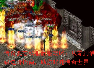 传奇变态私服新服攻略:从零到满级进阶指南,助你叱咤传奇世界 传奇变态私服新服攻略:从零到满级进阶指南,助你叱咤传奇世界