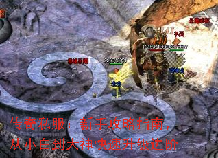 ����˽�������ֹ���ָ�ϣ���С�׵����������������