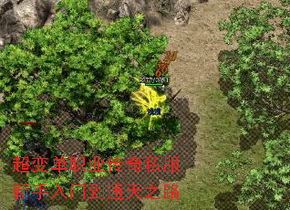 超变单职业传奇私服新手入门到通天之路 超变单职业传奇私服新手入门到通天之路