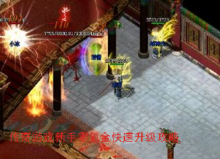 ������Ϸ������봽������������