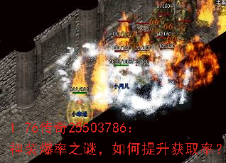 1.76����25503786����װ����֮�գ����������ȡ�ʣ�