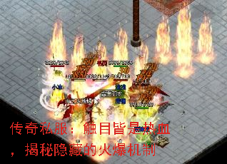 ����˽������Ŀ������Ѫ���������صĻ𱬻���
