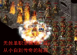 ���ⵥְҵ��ҵ֮·����С�׵�������ؼ�