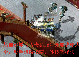 ��Ѫɳ�ǡ�����˽�����������Դ�ȫ�����ֽ���ָ�ϡ�PK�����ؾ�