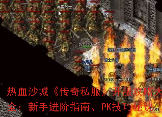 ��Ѫɳ�ǡ�����˽�����������Դ�ȫ�����ֽ���ָ�ϡ�PK�����ؾ�