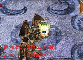 ��ǿ��̬����˽�����Դ�ȫ�������µ�����