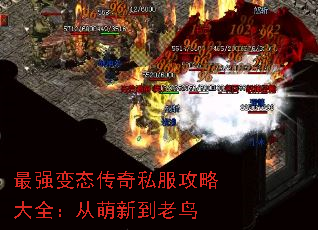 ��ǿ��̬����˽�����Դ�ȫ�������µ�����