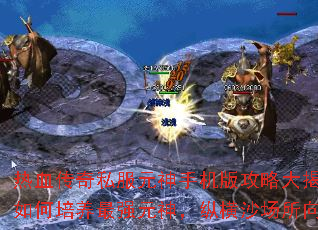 ��Ѫ����˽��Ԫ���ֻ��湥�Դ���أ����������ǿԪ���ݺ�ɳ����������