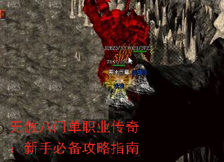 ������ŵ�ְҵ���棺���ֱر�����ָ��