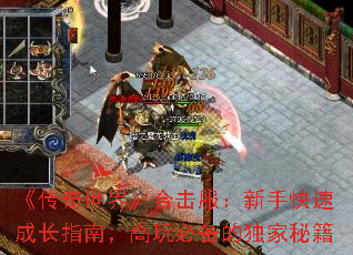 ���������硷�ϻ��������ֿ��ٳɳ�ָ�ϣ�����ر��Ķ����ؼ�