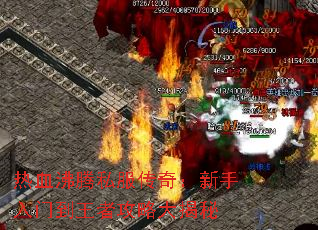 ��Ѫ����˽�����棺�������ŵ����߹��Դ����