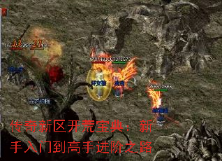 �����������ı��䣺�������ŵ����ֽ���֮·