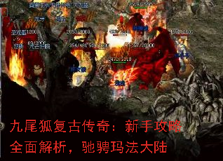 ��β�����Ŵ��棺���ֹ���ȫ��������۳��귨��½