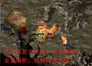 ��β�����Ŵ��棺���ֹ���ȫ��������۳��귨��½