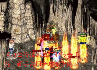�����洫˵����ְҵ�������Σ���������ȫ����ָ��