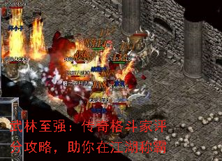 ������ǿ������񶷼����ֹ��ԣ������ڽ����ư�
