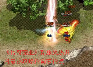�������ҵ���·����ȿ�����ǿ����ָ����ָ��