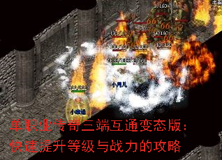 ��ְҵ�������˻�ͨ��̬�棺���������ȼ���ս���Ĺ���
