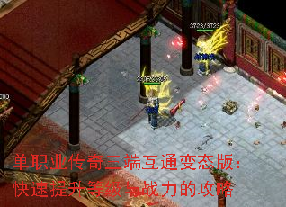 ��ְҵ�������˻�ͨ��̬�棺���������ȼ���ս���Ĺ���