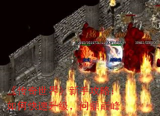 ���������硷���ֹ��ԣ���ο����������ʶ��۷�