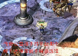 ���湫�������ƽ̨�ĸ��ã���������ֽ��ѡ��