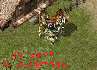 1.76���Ŵ������ι��ԣ�������ο�������