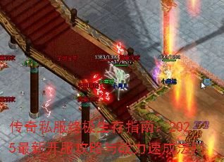 ����˽���ռ�����ָ�ϣ�2025���¿���������ս���ٳɷ���