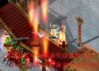 ��2025�괫��˽����Чӯ�����ԣ������ֵ�ְҵ����ߵĽ���ָ�ϡ�