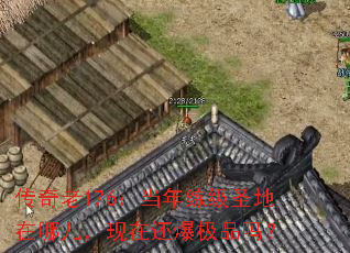 ������176����������ʥ�����Ķ������ڻ�����Ʒ��