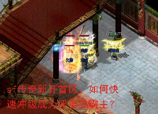sf�����¿���������ο��ٳ弶��Ϊ������������