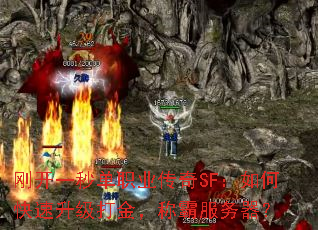 �տ�һ�뵥ְҵ����SF����ο���������𣬳ưԷ�������