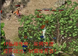 IP私服传奇:如何快速提升战力,制霸服务器? IP私服传奇:如何快速提升战力,制霸服务器?