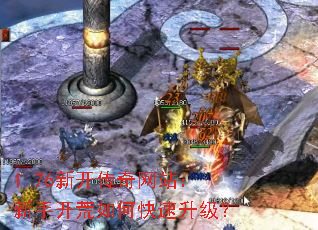 1.76�¿�������վ�����ֿ�����ο���������