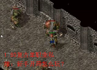 1.80���ŵ�ְҵ˽�������ֿ�����ô�棿