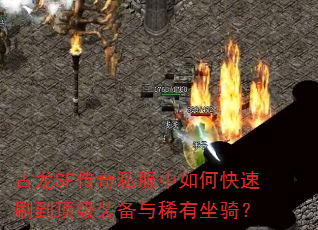 ����SF����˽������ο���ˢ������װ����ϡ�����