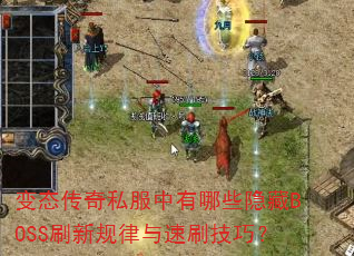 ��̬����˽��������Щ����BOSSˢ�¹�������ˢ���ɣ�