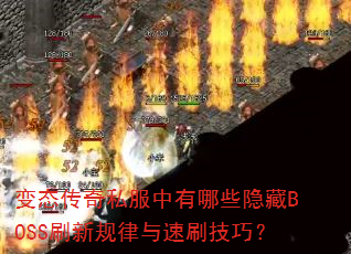 ��̬����˽��������Щ����BOSSˢ�¹�������ˢ���ɣ�