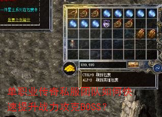 ��ְҵ����˽���Ŷ���ο�������ս������BOSS��