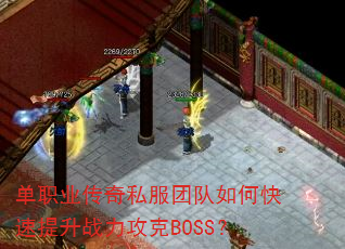 ��ְҵ����˽���Ŷ���ο�������ս������BOSS��