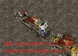 ������Ѫʯ�������ڴ��룬�����ȷ�ϳɲ��ܷ������ս����