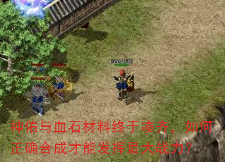 ������Ѫʯ�������ڴ��룬�����ȷ�ϳɲ��ܷ������ս����
