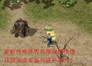 最新传奇世界私服如何快速获取顶级装备与提升战力? 最新传奇世界私服如何快速获取顶级装备与提升战力?