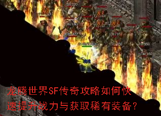 ��������SF���湥����ο�������ս�����ȡϡ��װ����
