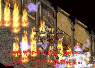 ��������SF���湥����ο�������ս�����ȡϡ��װ����